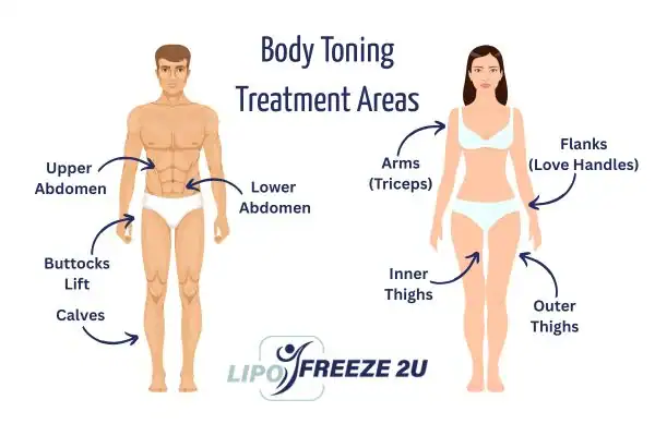 Graphic showing where you can have Body toning Treatment Weymouth on your body